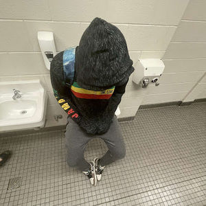 Meet your Posher, Jahvi